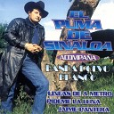 El Puma De Sinaloa feat Banda Polvo Blanco - Al Pie de un Verde Pinito