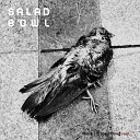 Salad Bowl - LOVE SONG
