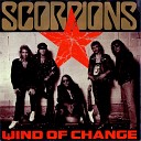 Nailskey - Ветер Перемен Scorpions Remake