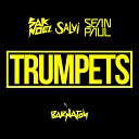 Sak Noel Salvi feat Sean Paul - Trumpets