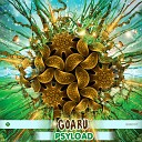 Goaru - Psyload Original Mix