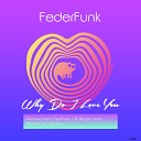 FederFunk - Tonight Last Forever Original Mix