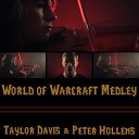 Peter Hollens - World of Warcraft Medley
