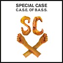 Special Case - Case Of Bass