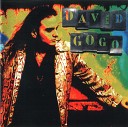 David Gogo - It s My Own Fault