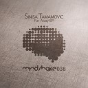 Sinisa Tamamovic - Far Away Original Mix