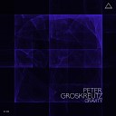 Peter Groskreutz - Gravity Original Mix