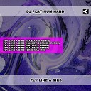 DJ Platinum Hand - Fly Like A Bird Maleean Remix