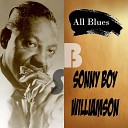 Sonny Boy Williamson - Little Village