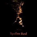 Spoken Bird - Hold On Original mix