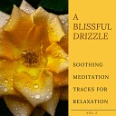 Meditation Guide Co - Soothing In Silence