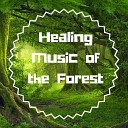 Healing Music Spirit - A Journey to the Past