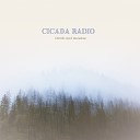 Cicada Radio - Bad Blood