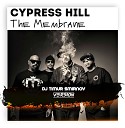 Cypress Hill Fronce - The Membrane Dj Timur Smirnov Mash Up