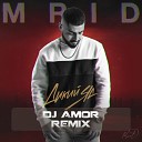 Mrid - Дикий Яд Dj Amor Radio Mix
