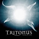 Tritonus - To Travel Without Motion