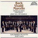 Suk Chamber Orchestra Josef Vlach Jan Adamus - Oboe Concerto in D Minor S Z799 II Adagio