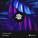 Cavallieri - You Want Original Mix