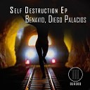 Diego Palacios - Shadows Original Mix