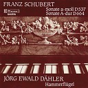 Franz Schubert - Sonata in A Minor Op Posth 164 D 537 I Allegro ma non…