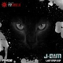 J Dam - Last Step 2 Original Mix