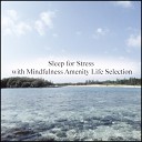 Mindfulness Amenity Life Selection - Asphalt Sensitivity Original Mix