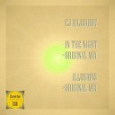 CJ Hajsarov - In The Night Original Mix