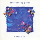 The Echoing Green - Second Chance Analog Boxes Remix