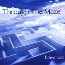 Dave Lee - The Canyon Wall Spoke