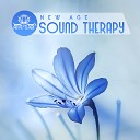 Meditation Music Zone - New Age Sound Therapy