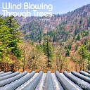 Nature Sound Band - Wind and Trees Team Malibu