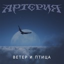 Артерия - Ветер и Птица