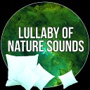 Sweet Baby Lullaby World - Easy Listening Sound