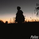 Palles - На гитаре