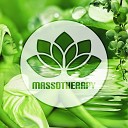 SPA Wellness Massage Masters - Well Being Inspiring Sounds