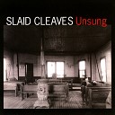 Slaid Cleaves - Another Kind Of Blue