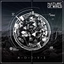 Nature of Wires - Seagull Original Mix