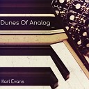 Karl Evans - Dunes of Analog