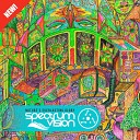 Spectrum Vision - Underwater