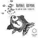 Raphael Hofman - No Word No Sound