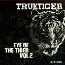 True Tiger feat Dot Rotten - Salute