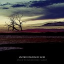 United Colors Of Acid - Malibu (Original Mix)