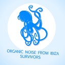 Organic Noise From Ibiza - Suvivors Original Mix