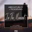 Abriviatura IV TeckSound - In the Moment Niado Remix