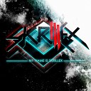 C - My Name Is Skrillex Skrillex Remix 2010