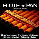 Pablo Montoya - The Sound of Silence