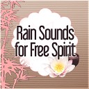 Massage Spa Academy - Rain Sounds for Body Harmony
