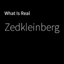 Zedkleinberg - What Is Real