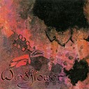 Windflower - Back To The Calling Of Home