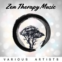 Meditation Music Zone - Zen Therapy Music for Spa Wellness